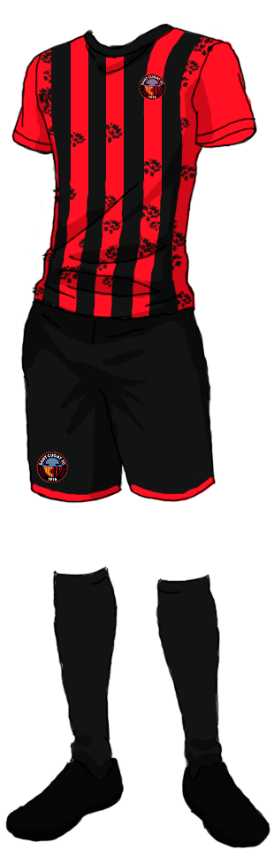 F.C. Sant Cugat Esport